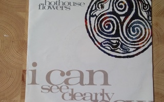 Hothouse Flowers 7" vinyylisingle I can see clearly now