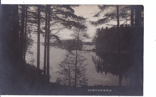 VANHA Postikortti Punkaharju 1920-1930-l