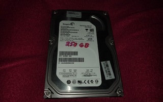 Kovalevy - HDD - 250Gb