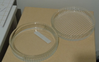 2 kpl Ikean lasista lautasta/ alustaa