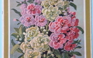 Elena Kojine vanha kukkakortti, kuvataidekortti  v. 1941