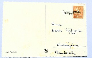 1963/M  Tamppimäki (Multia) rivil kortilla