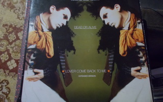 12" MAXI SINKKU DEAD OR ALIVE ** LOVER COME BACK TO ME **