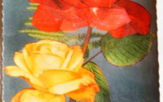 Ruusut LAVAPURO-leima
