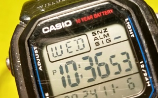 Casio W-800H