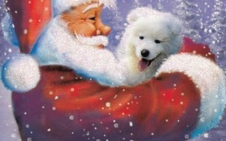 Joulupukki ja söpö valkoinen koira