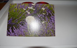 postikortti (A) kukka kukkia  ALE