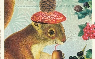 Orava (Tausendschön-kortti)