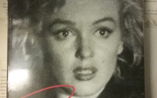 Marilyn Monroe: Välähdyksiä, sirpaleita (nid.)