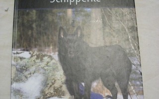 Suomen suosituimmat koirarodut : Schipperke
