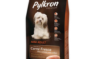 Koiranruoka Pylkron Premium (2 Kg)