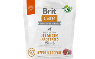 BRIT Care Hypoallergenic Junior Large Breed Lam 