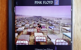 Pink Floyd: A Momentary Lapse of Reason CD