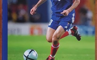 Luca Caioli: Zidane - 90 minuuttia, kokonainen elämä