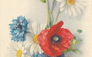 Kesän kukkia - vanha kortti