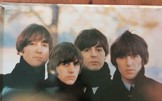 Beatles Peltikyltti