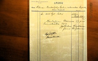 1917 Otava Hiskias Karjalainen lasku
