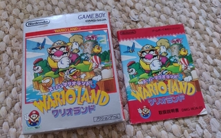 Wario Land