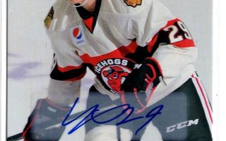 Ville Pokka 16-17 Upper Deck AHL #61 Autographs