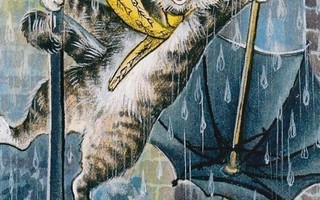Irina Garmashova: Kissa nauttii sateesta