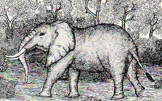 Postikortti, Eläinaihe, eläimet ,elefantti