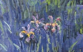 Claude Monet: Iirikset