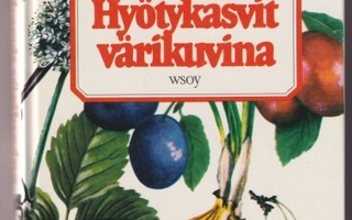 Toivo Rautavaara (toim.): Hyötykasvit värikuvina