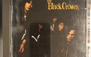 THE BLACK CROWES - Shake Your Money Maker cd