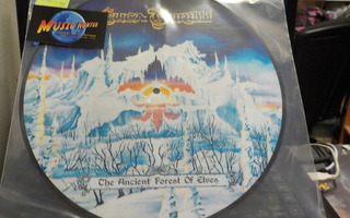 LUCA TURILLI - THE ANCIENT FOREST OF ELVES EX+ LP