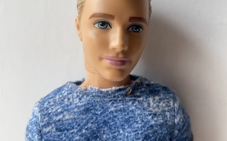Barbie fashionistas  Ken nukke