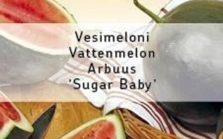 Vesimeloni  Sugar baby siemenet