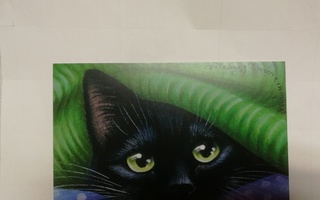 Kissa ja vihreä pipo,kortti,käyttämätön.