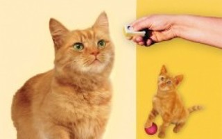 Naksutinkoulutusta kissoille, uusi, sis. pk