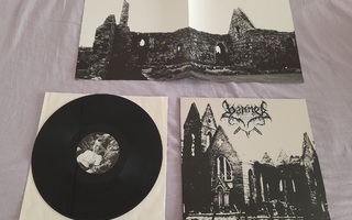 Hammer Shoax LP