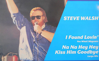 Steve Walsh - I Found Lovin'