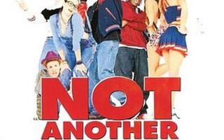 Not Another Teen Movie  -  DVD