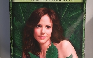 Weeds (15DVD) Kaudet 1-6 [Mary-Louise Parker]