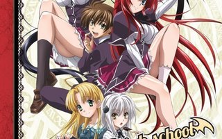 High School DxD - Season 1 (2x Blu-ray), UUSI