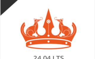 Linux Ubuntu 24.04 LTS Noble Numbat USB