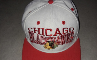 Chicago blackhawks lippis