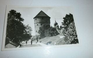 Tallinn, Kik in de Kök, vanha mv valokuvapk, ei p.