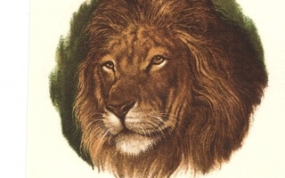Posliinisiirtokuva Leijona
