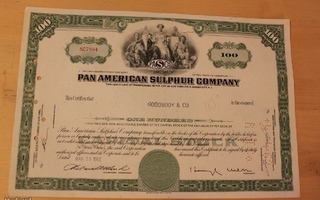 Pan American Sulphur Company