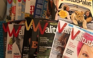 Valitut Palat lehdet vuodelta 2011