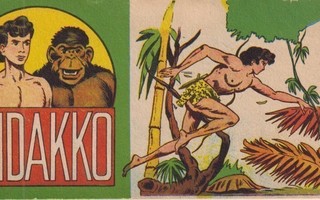 VIIDAKKO 1955 5 (1 vsk.)