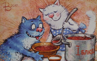 Irina Zeniuk sininen kissa saa keittoa lautaselle