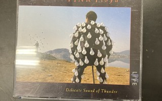 Pink Floyd - Delicate Sound Of Thunder 2CD