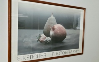 S. Kercher sisustustaulu (kehys + painokuva)