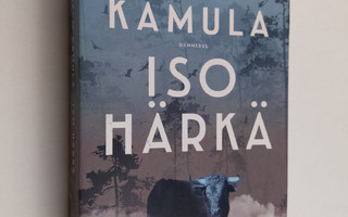 Mikko Kamula : Iso härkä
