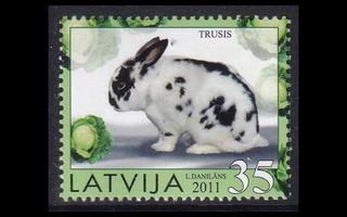 Latvia 800 ** Kotieläimiä kaniini (2011)